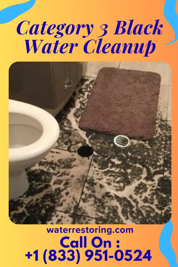 Category 3 Black Water Cleanup in Bastrop, LA